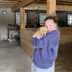 Meet your Posher, Abby